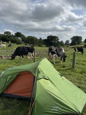 Vango Banshee 300 Green