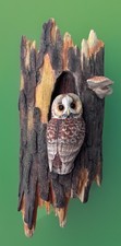 Border Fine Arts Tawny Owl -