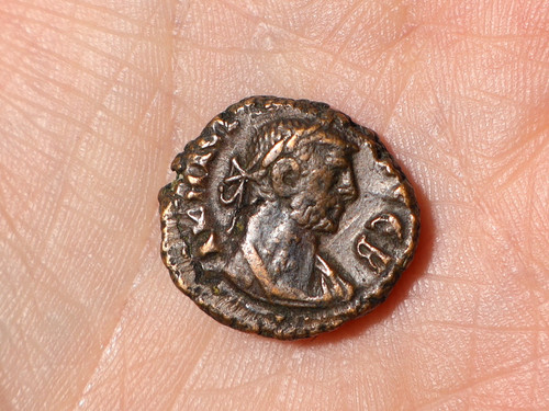 3rdc alexandria egyptian - alexandria, /