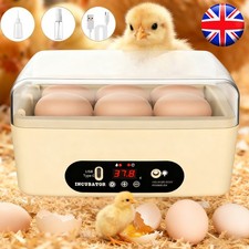 Mini Egg Incubator Automatic