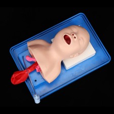 Airway Management Trainer