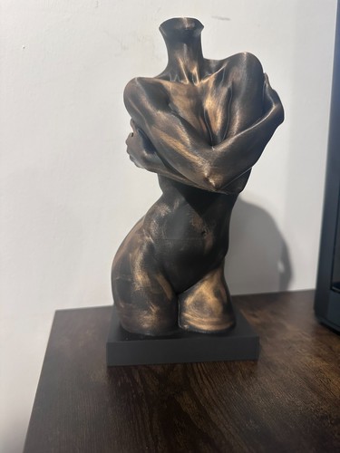 25cm printed torso - 3d,