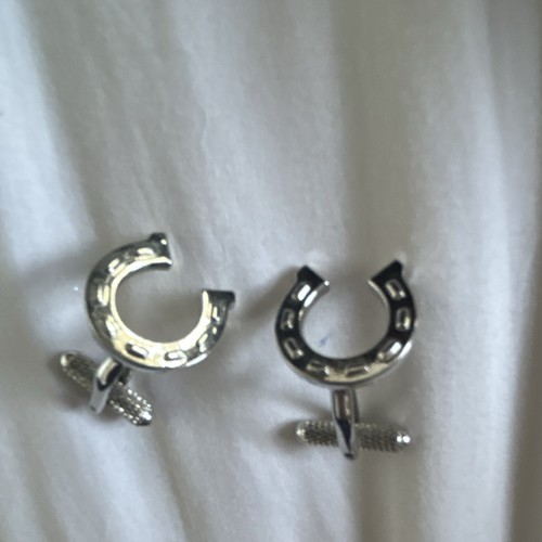 Silver tone metal horseshoe - metal,