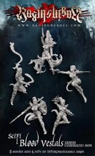 Blood Vestals Command Void Elves Wyches Dark Elf Eldar Raging Heroes Sci Fi X5