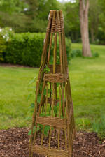 Willow obelisk plant support - willow,