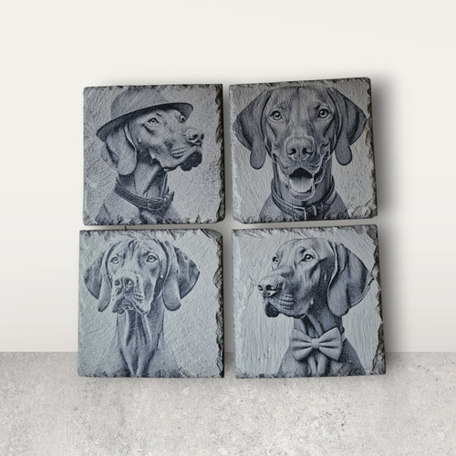 Hungarian vizsla collection - hungarian,