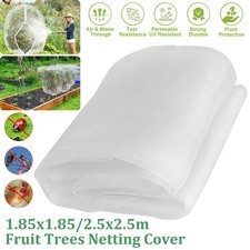 Garden Plant Tree Fruit Cover