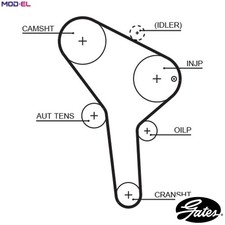 TIMING BELT 5564XS FOR SKODA