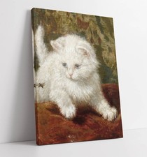 CURIOSITY, HENRIETTE