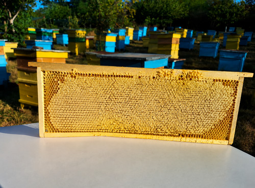 Pure raw organic - pure, honey