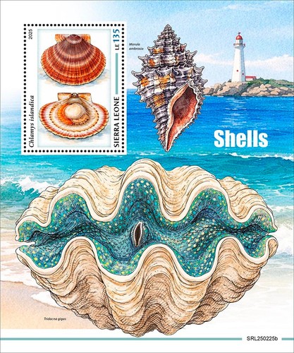 Shells mnh stamps 2025 - shells,