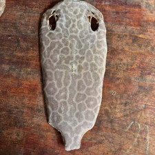 Unpolished Stingray Shagreen