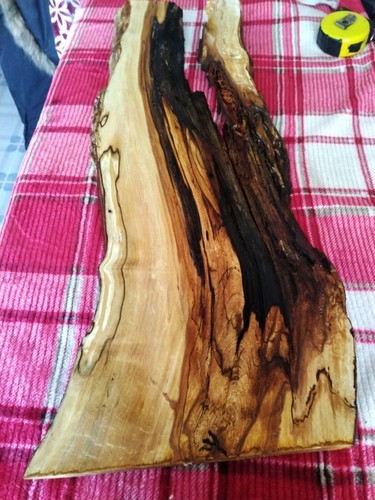 Large live edge river birch - live,