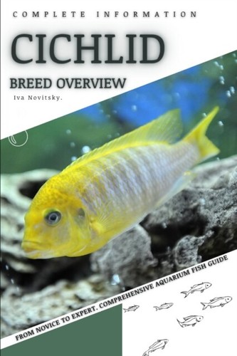 Novitsky cichlid from - -,