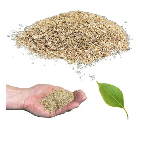 Quality apple wood chips - apple,