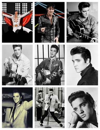 Elvis poster lots - of,