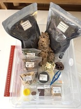 Isopod Millipede Snail invert