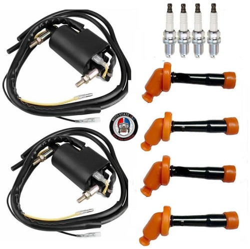 Ignition coil spark plug - 2x,