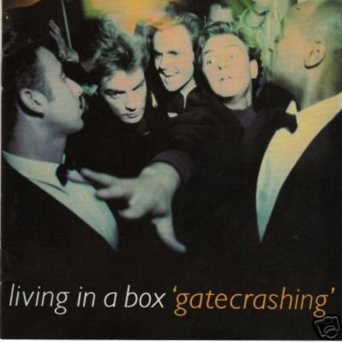 Living box gatecrashing - living,