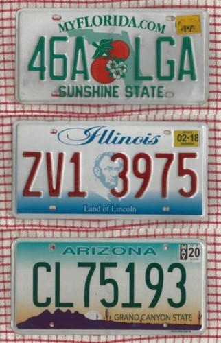 Set american license - of,