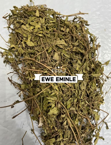 Ewe eminle euphorbia - ewe, eminle/euphorbia