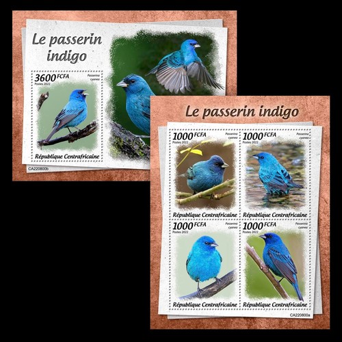 Indigo bunting birds mnh - indigo,