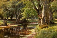 Forest Creek Landscape Oil
