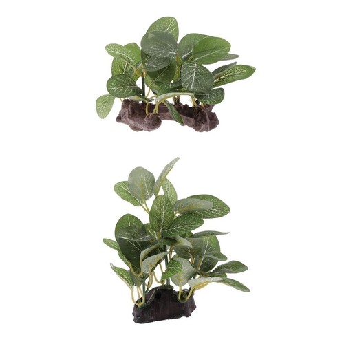 2pack set reptile terrarium - 2pack/set,