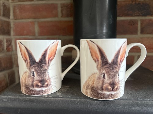 Ceramic bunny rabbit - ceramic, mugs