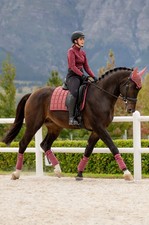 LeMieux Loire Classic Dressage