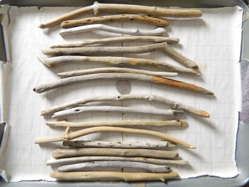 Driftwood stick pieces for - driftwood,