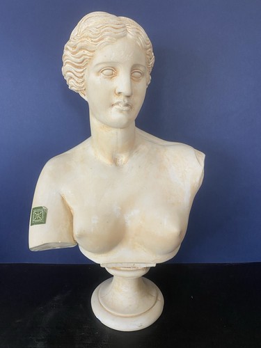 Large plaster bust roman lady - large,