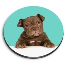 Round MDF Magnets - Cute Old English Bulldog Puppy Dog #21422