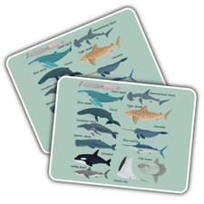 2x Vinyl Sticker Giant Squid
