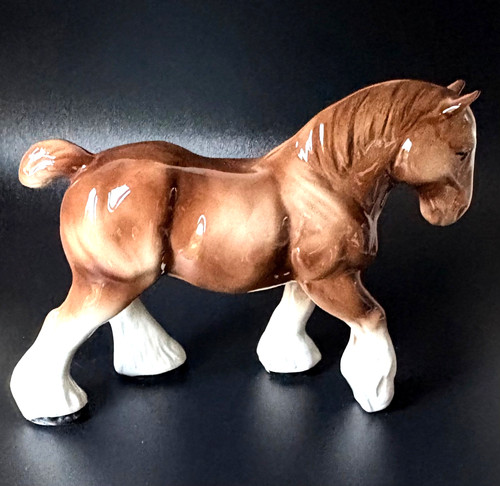Stallion shire horse - shire,