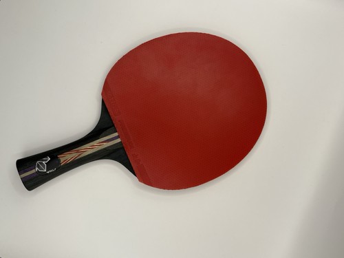 Stiga premier table tennis - table,