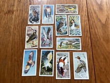 Bird Portraits  Brooke Bond Tea Cards - CHOOSE THE ONES YOU WANT.