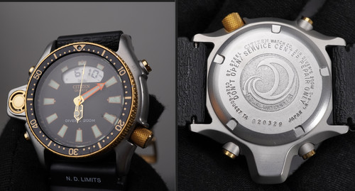 Citizen aqualand duplex dive