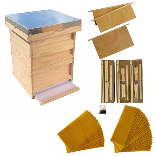Beehive complete beginner - beehive,