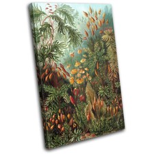 Botanical Tropical Vintage