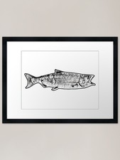 Salmon black and white - white, framed