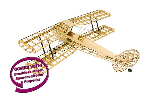 Tiger moth wingspan dw - tiger,