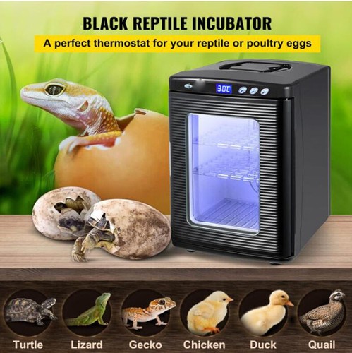 Reptile egg incubator 25l - egg,