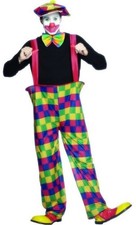 Hooped Clown Adult Fancy Dress