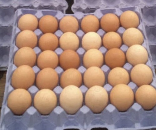 Fresh free range - fresh,