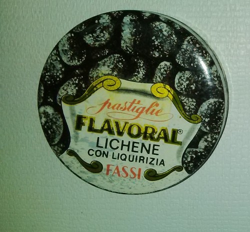 Collectible tin box flavoral - collectible,