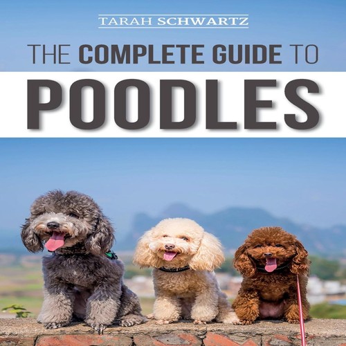 The complete guide - the, to