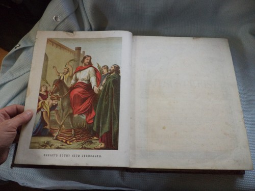 Bible the life our lord - life, of