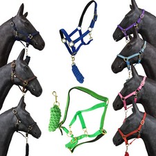 Horse Masters Best On Horse Equestrian Padded Adjustable Plain Headcollar lead