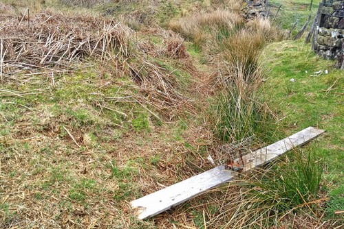 Photo 6x4 fenn - trap, hutton